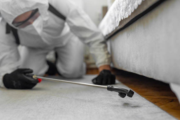Professional Ant Control technician working in Edgemont Park, MI