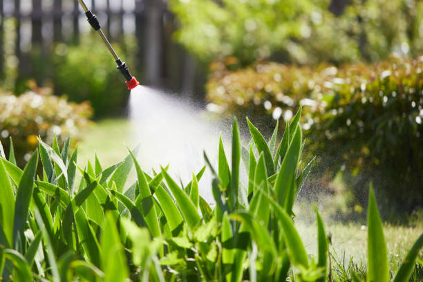 24/7 Emergency Ant Control experts in Edgemont Park, MI