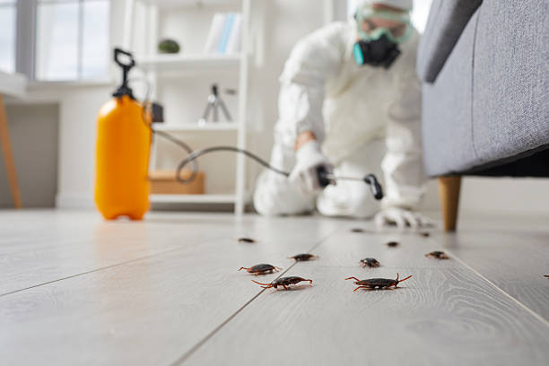 Trusted Termite Control service in Edgemont Park, MI - Nex Pest Control