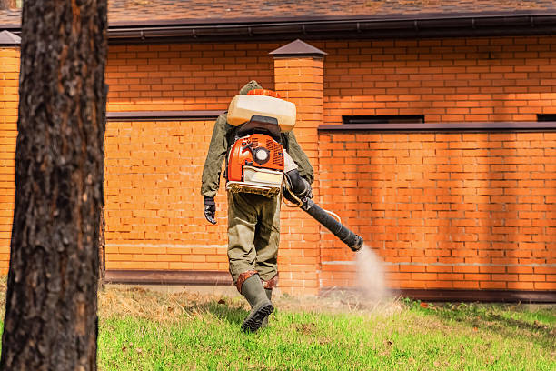 Trusted Ant Control service in Edgemont Park, MI - Nex Pest Control